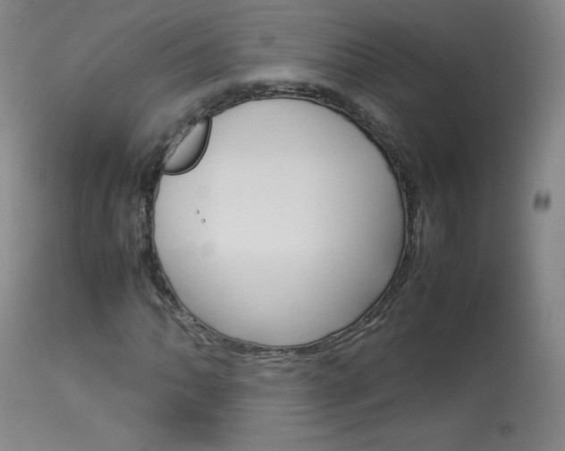 X0000114141062200910081021