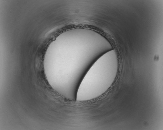 X0000114141063200910081021