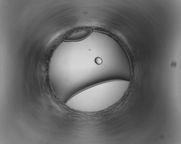 X0000114141064200910081021