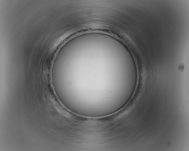 X0000114141065200910081021