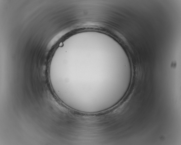 X0000114141066200910081021