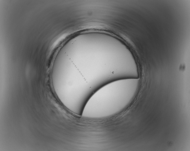 X0000114141067200910081021