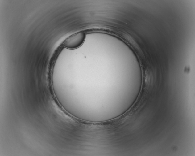 X0000114141068200910081021