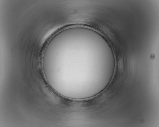 X0000114141069200910081021
