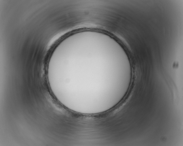 X0000114141070200910081021
