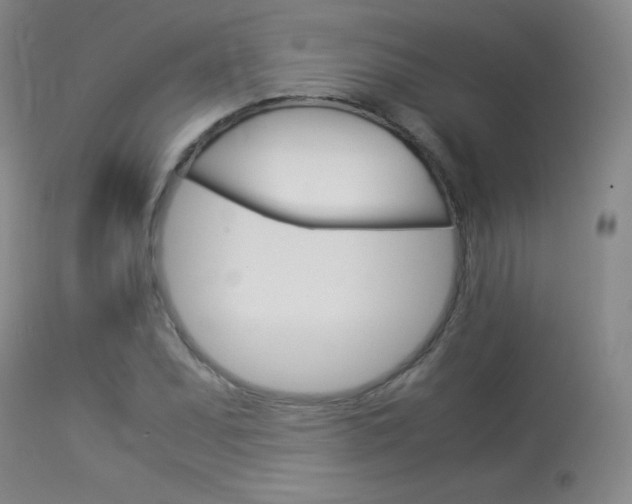 X0000114141071200910081021