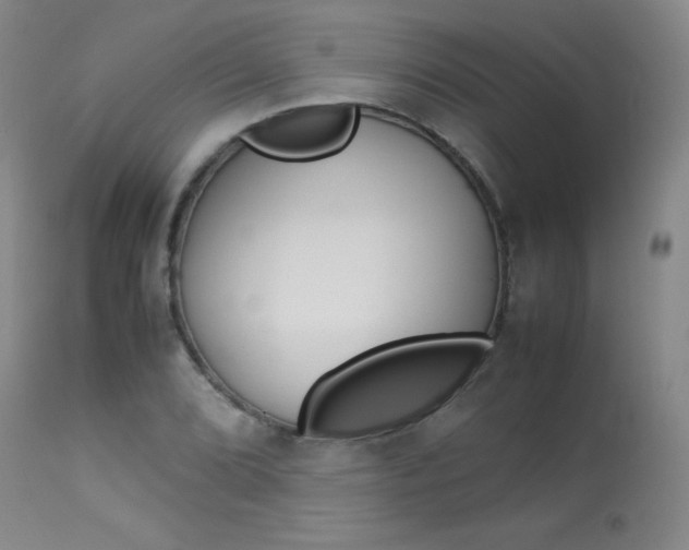 X0000114141072200910081021