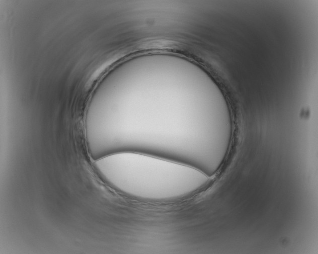 X0000114141073200910081021
