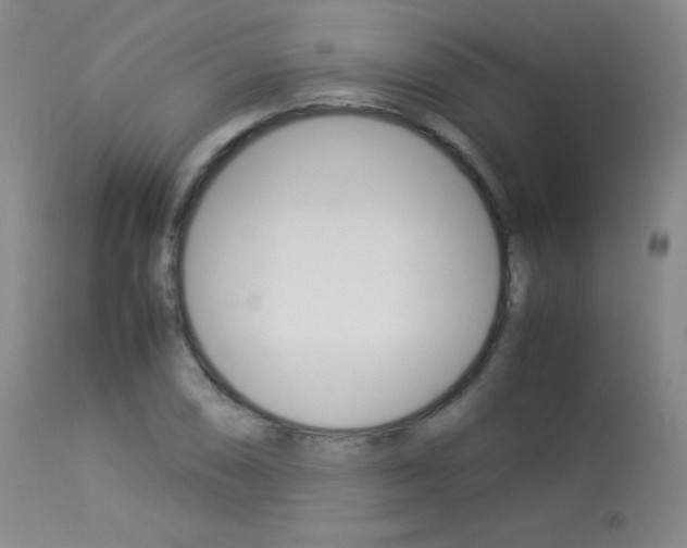 X0000114141074200910081020