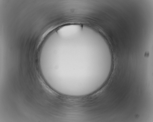 X0000114141075200910081020