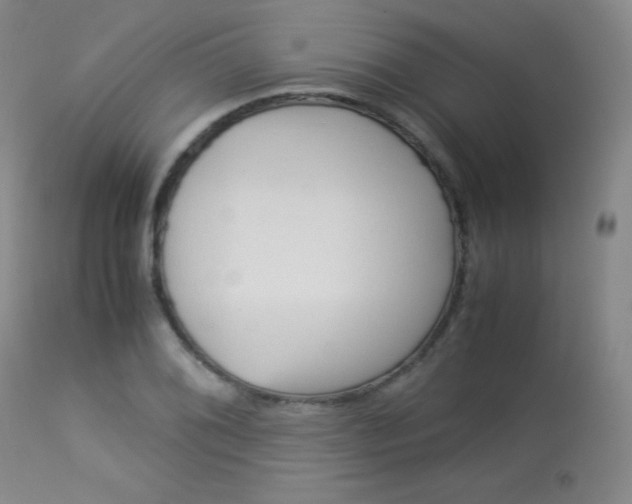 X0000114141076200910081020