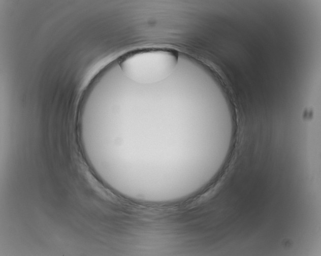 X0000114141077200910081020