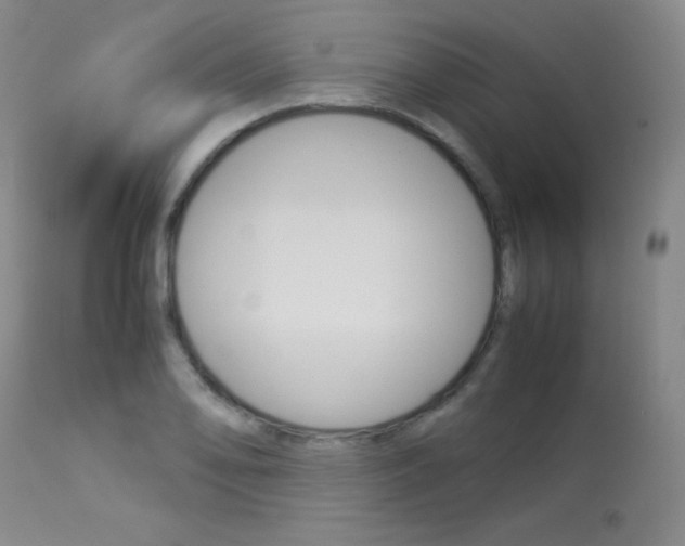 X0000114141078200910081020