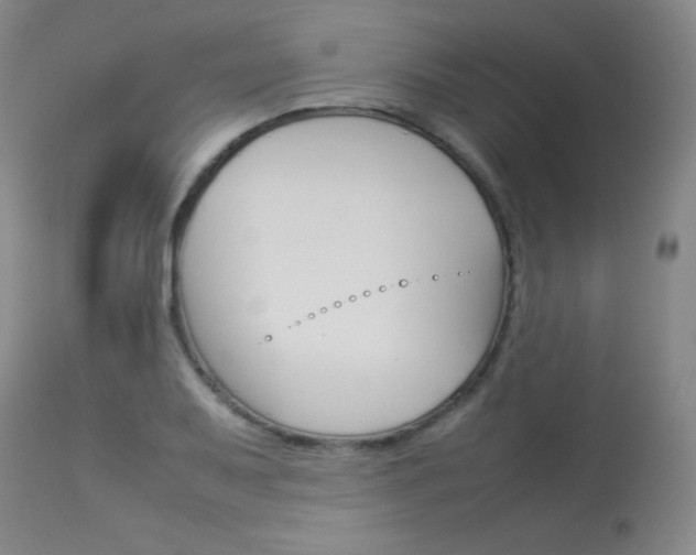 X0000114141079200910081020