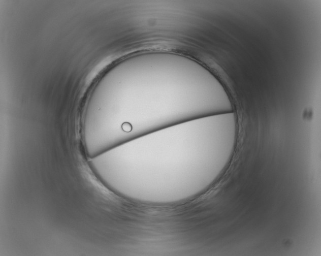 X0000114141083200910081020