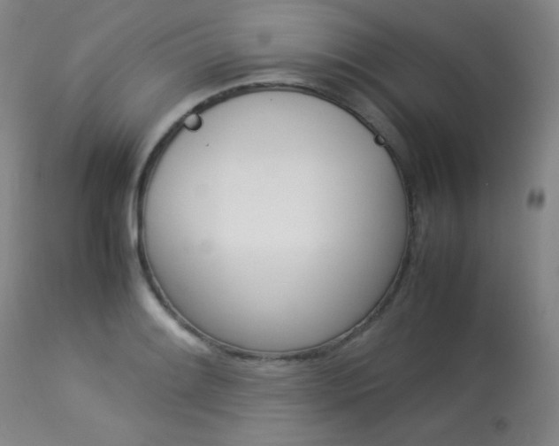 X0000114141084200910081020