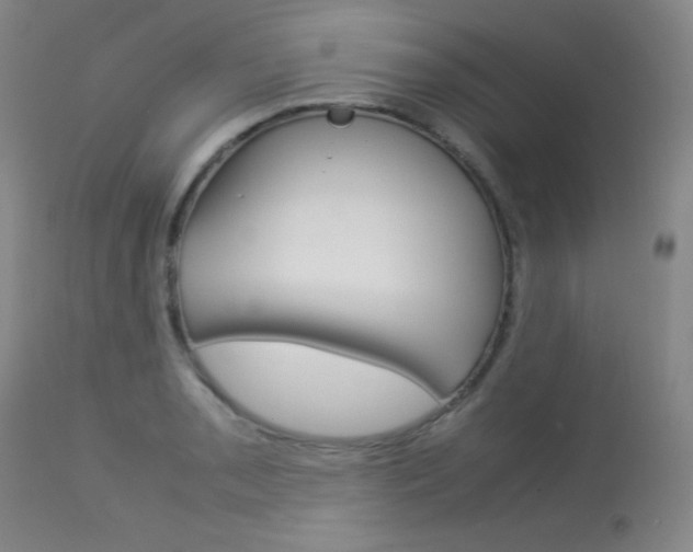 X0000114141085200910081020