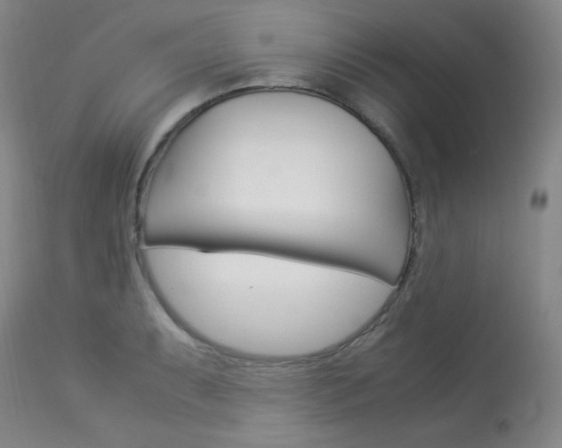 X0000114141087200910081020