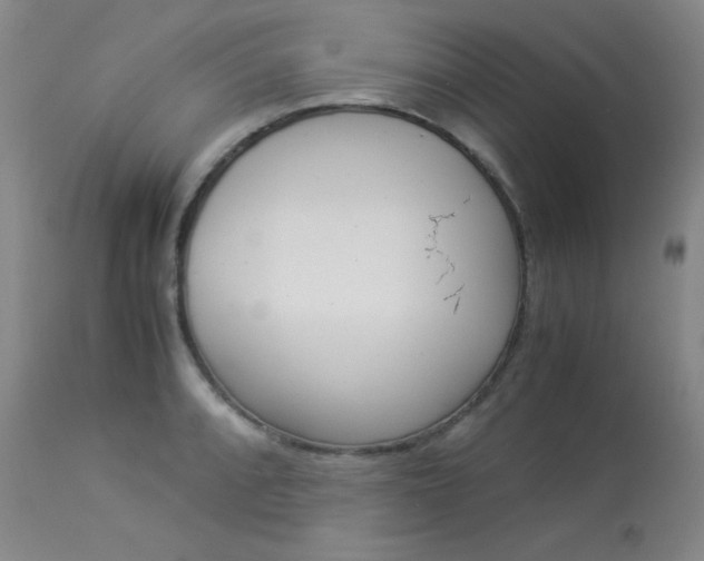 X0000114141088200910081020
