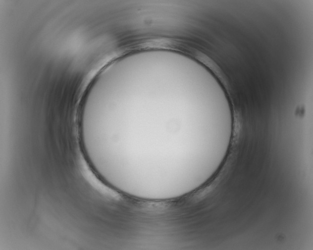 X0000114141090200910081020