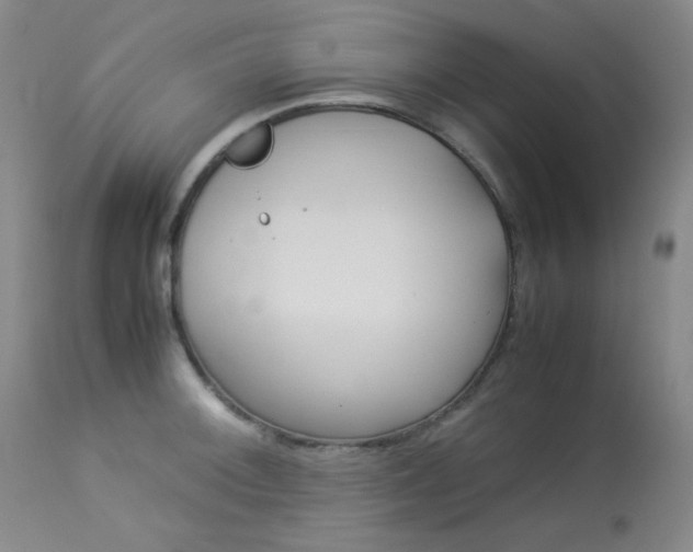 X0000114141092200910081020