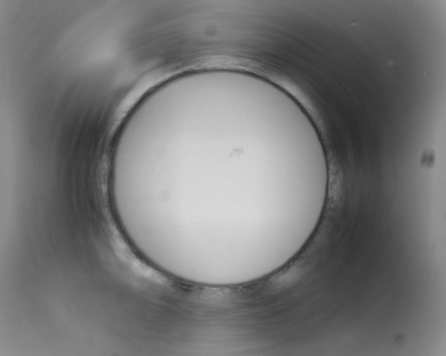 X0000114141094200910081020