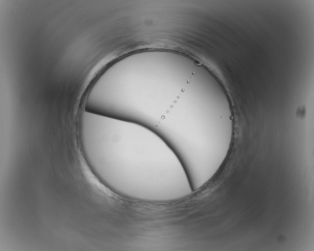 X0000114141095200910081020