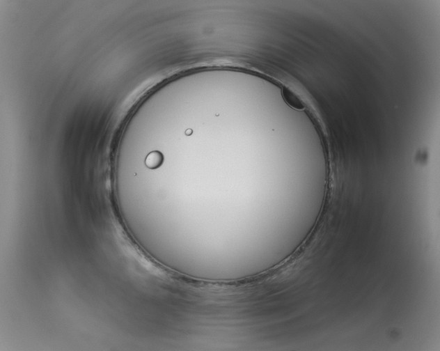 X0000114141096200910081020