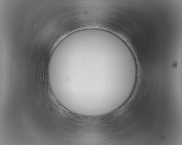 X0000114141097200910081020