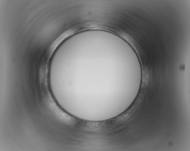 X0000114141098200910081020
