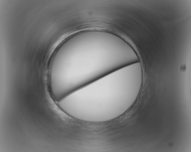 X0000114141099200910081020
