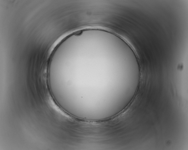 X0000114141100200910081020