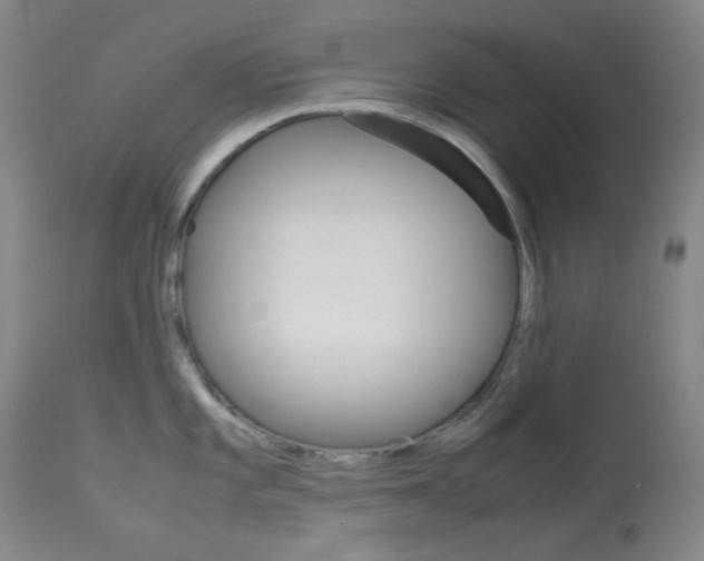 X0000114141101200910081020