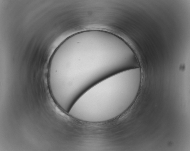 X0000114141102200910081020