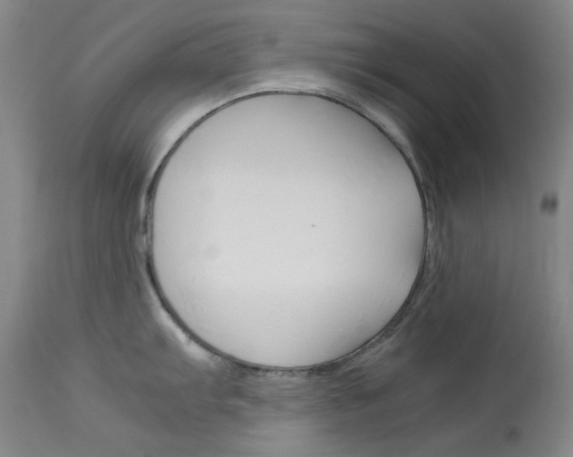 X0000114141103200910081020