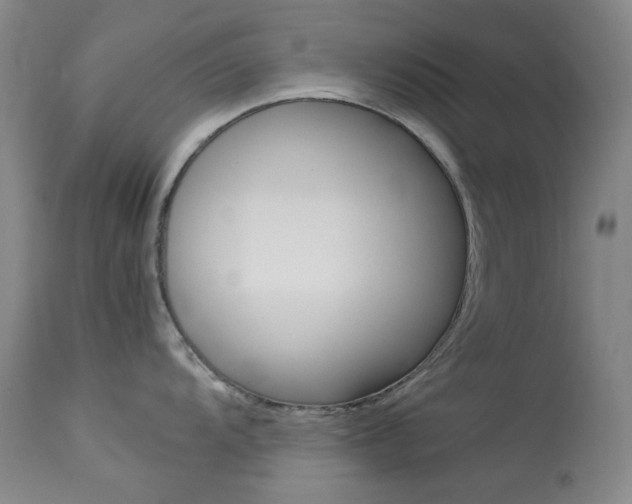 X0000114141104200910081020