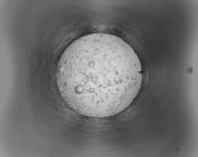 X0000114141105200910081019