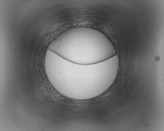 X0000114141109200910081019