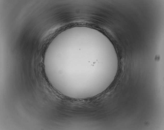 X0000114141111200910081020