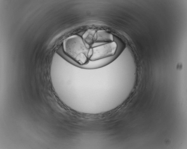 X0000114141112200910081020