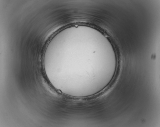 X0000114141113200910081020