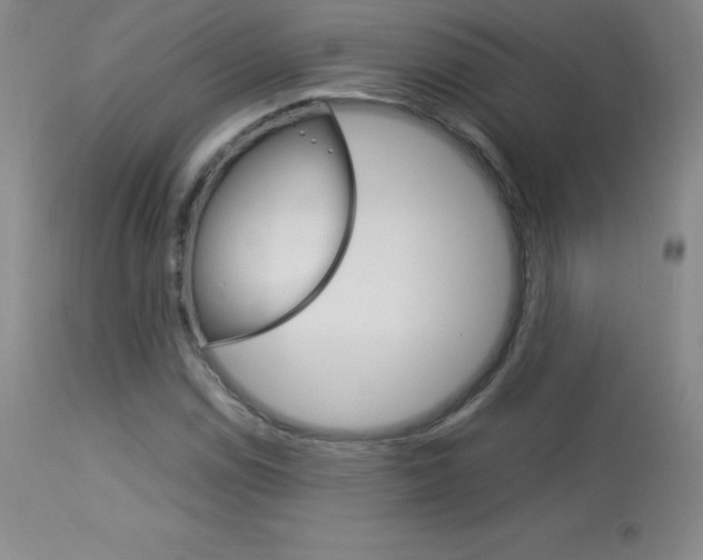 X0000114141114200910081020