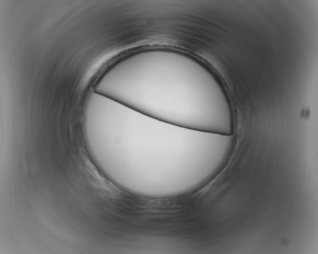 X0000114141115200910081020