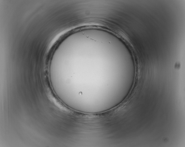 X0000114141116200910081020