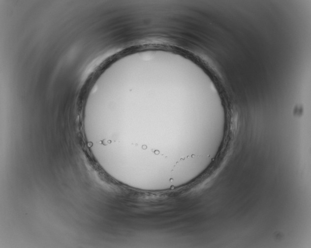 X0000114141117200910081020