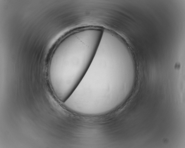 X0000114141118200910081020