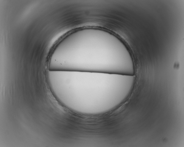 X0000114141119200910081020