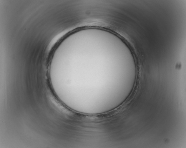 X0000114141120200910081020