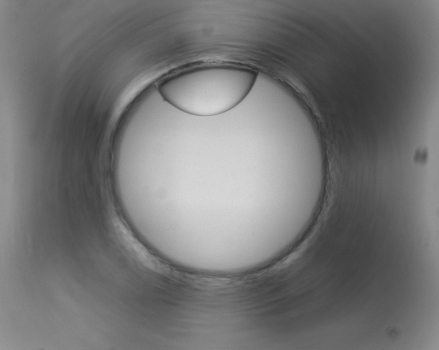 X0000114141122200910081020