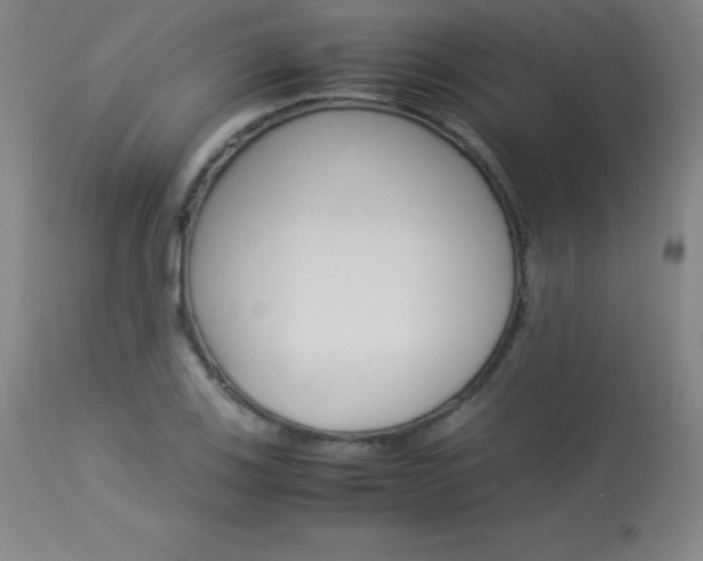 X0000114141123200910081020